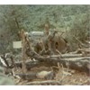 June 1970 Crash